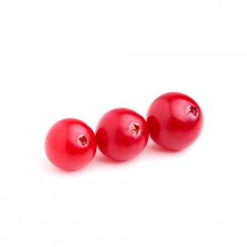 Cranberry