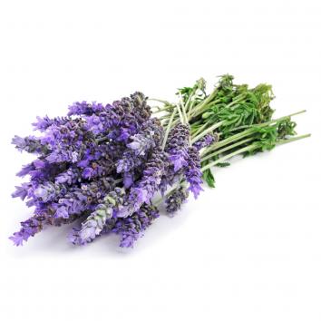 Lavendel