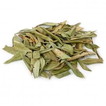 Lemon Myrtle